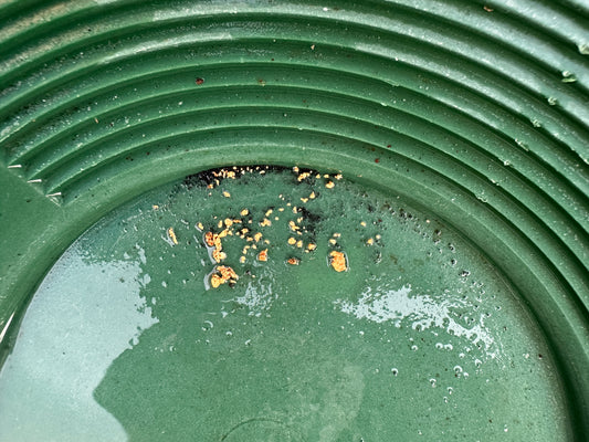 Best beginner spot in Southern California to find GOLD?