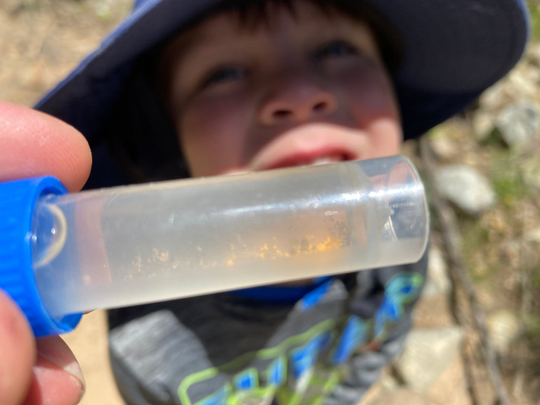The Junior Prospector’s Survival Kit: 5 Ways to Keep Kids Mining All Day