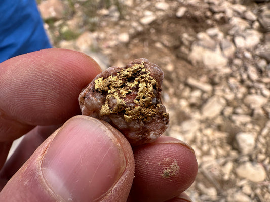 How Much Gold is Hidden in Your Rock? Specific Gravity Testing in Hill End