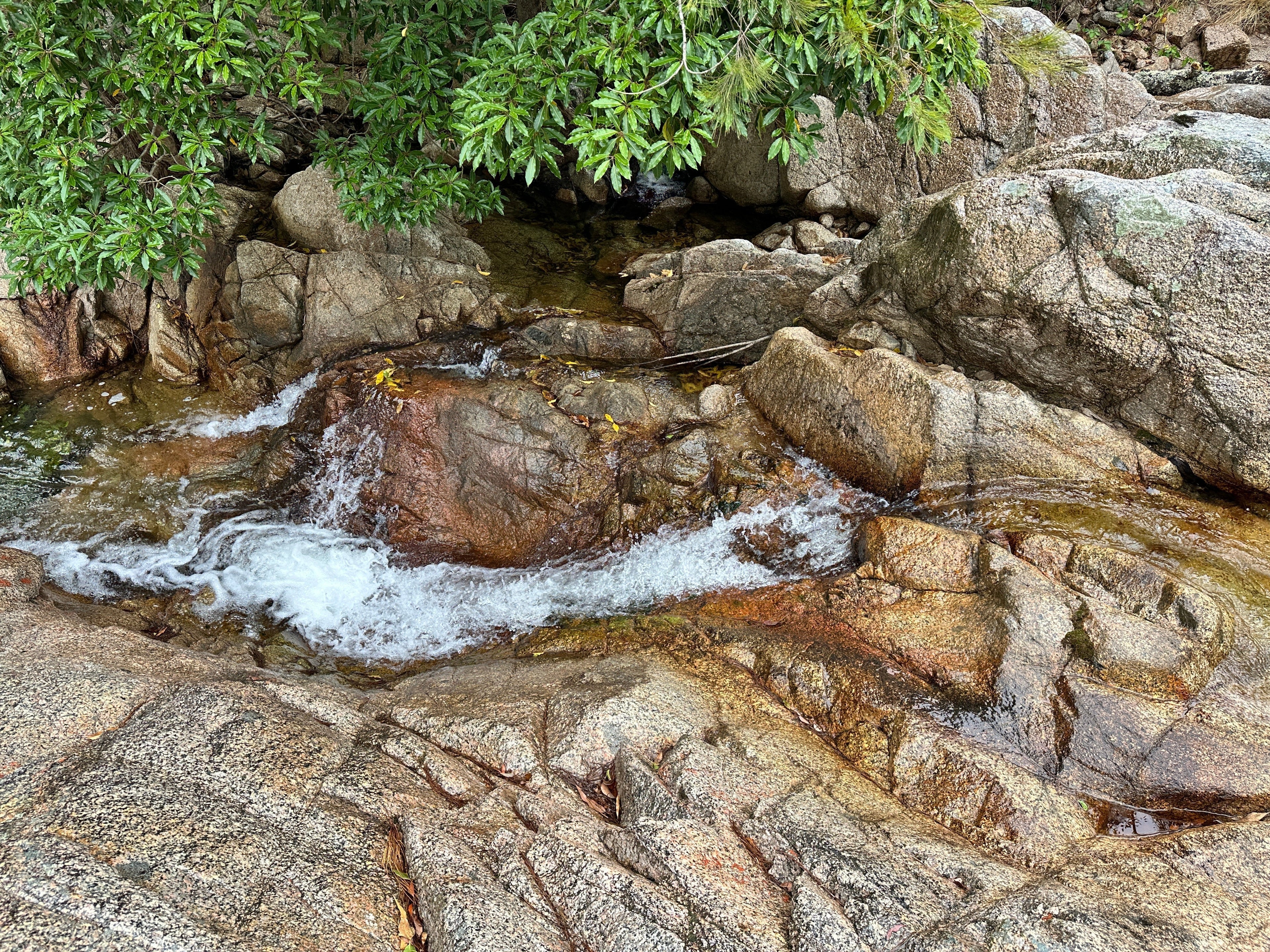 Araluen’s Golden Past: From Peach Orchards to Gold Rush Riches