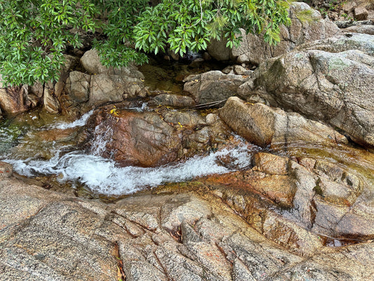 Araluen’s Golden Past: From Peach Orchards to Gold Rush Riches