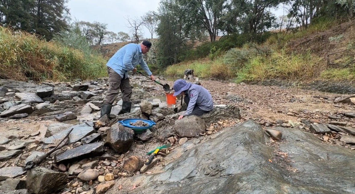 The River Ran Dry, but the Vault Just Opened: A Masterclass in Dry Creek Gold Prospecting