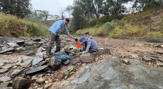 The River Ran Dry, but the Vault Just Opened: A Masterclass in Dry Creek Gold Prospecting