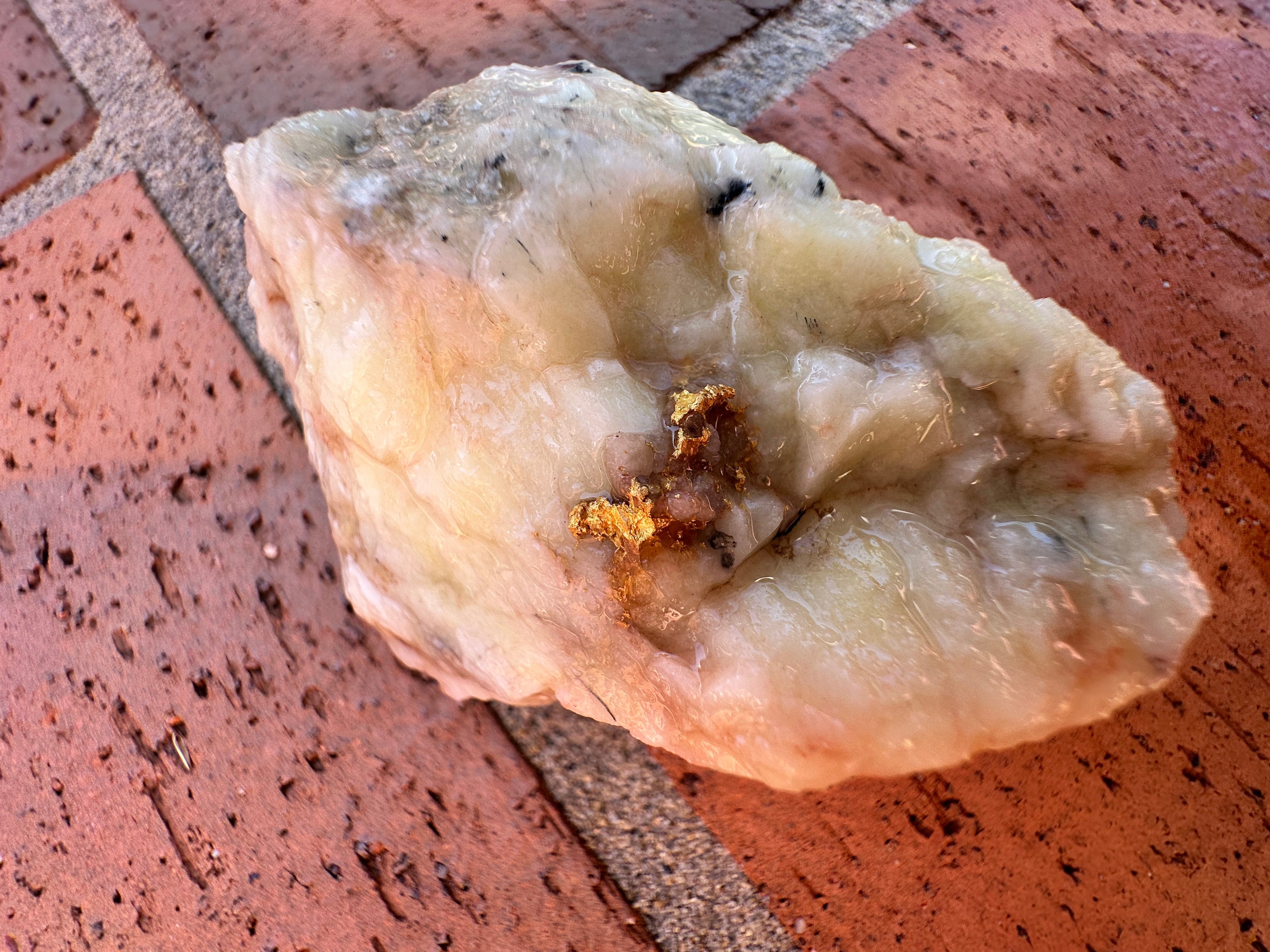 From Rock Bottom to Struck Gold: Finding a 12-Piece Gold Quartz Patch in WA