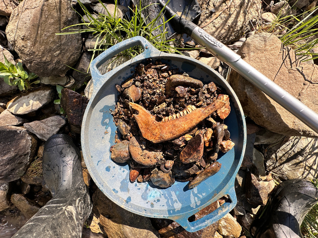 Cracking Bedrock & Finding Bucket-Worthy Gold at Trunkey Creek