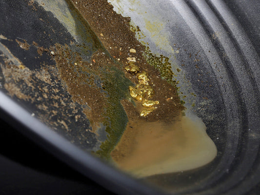 Can You Find Gold in Alabama? The Ultimate Guide to Prospecting the Alabama Gold Belt