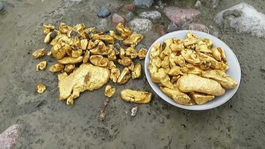 Strike Gold in the Evergreen State: Top 5 Places to Find Gold in Washington!