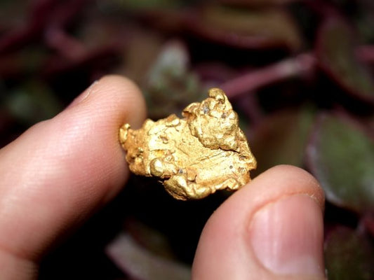 Is it legal to dig for gold in California?