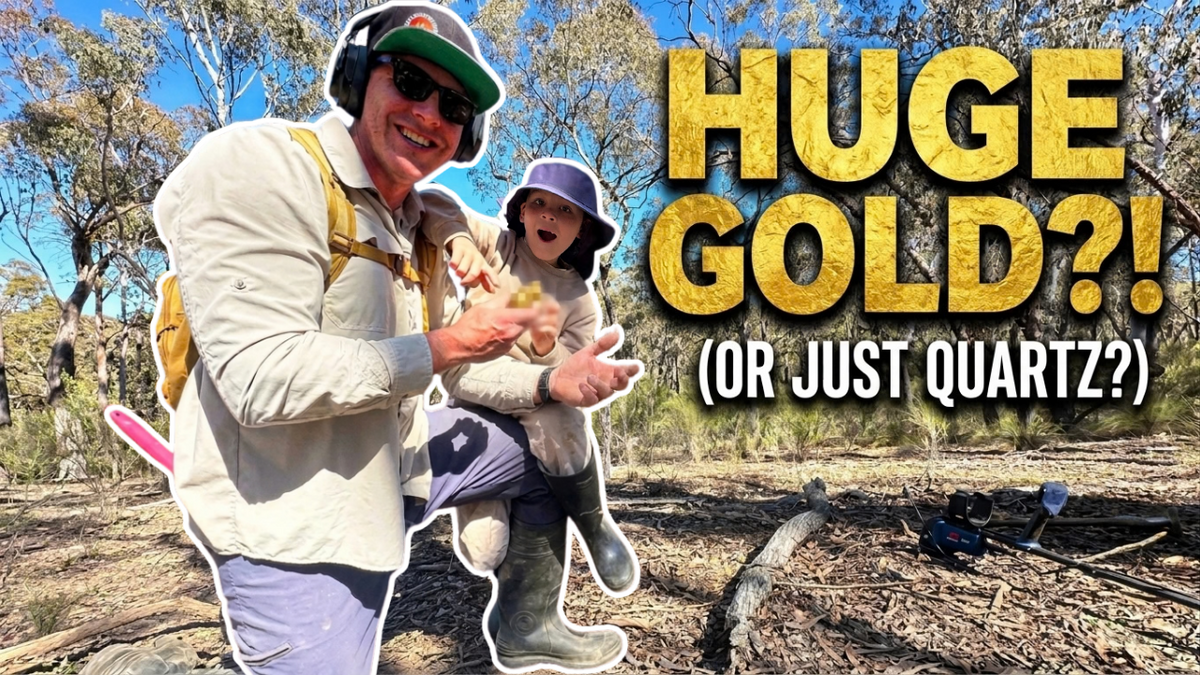 The 4-Hour Gold Rush: What Historic Trees, Old-Timer Buttons, and Perseverance Teach Us About Prospecting